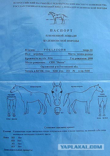 Ох уж эти проплаченные иноагенты, совсем разучились «заметать следы»