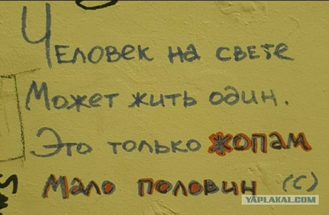 На заборе