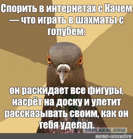 Глава офиса генсека НАТО: Украина может вступить в альянс, уступив территории