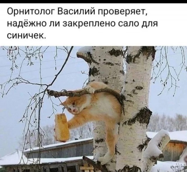 Так себе картинки 17.10.23