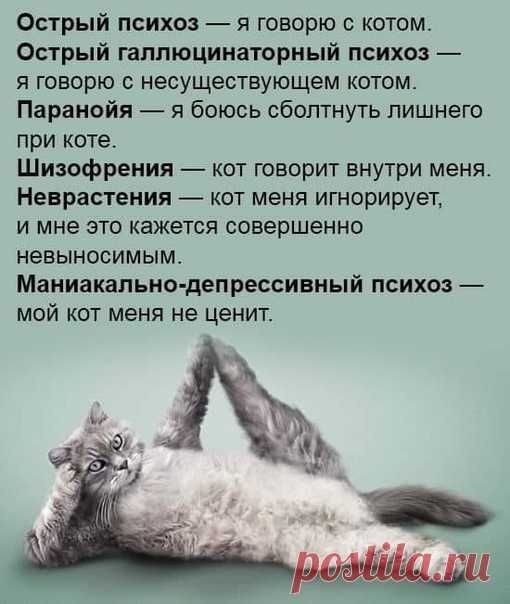 Мемчики и картинки для настроения и подумать