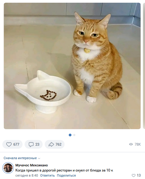 Смешные комментарии из социальных сетей 15.05.2024