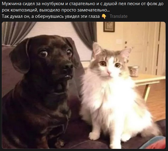 Завалялось тут случайно немного забавных картинок