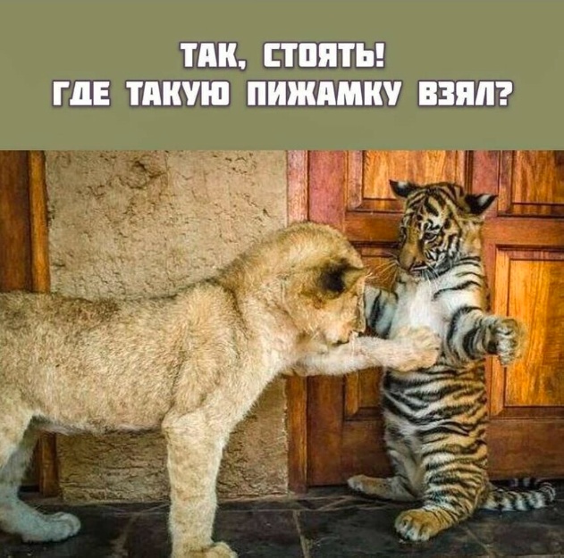 Веселые картинки в пятницу 25.02