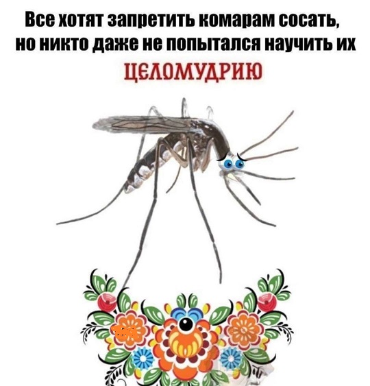 Начинайте свой день с чего-то положительного