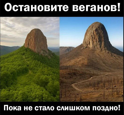 Картинки для деградации 13 (разной степени свежести)