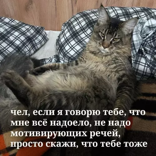 Картинки для деградации 87 (разной степени свежести)