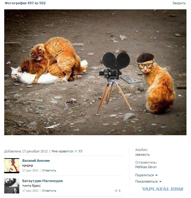 Смешные комментарии из социальных сетей #2