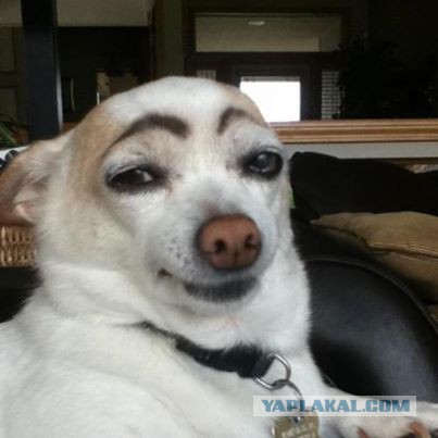 Актеры сериала "Игра престолов"