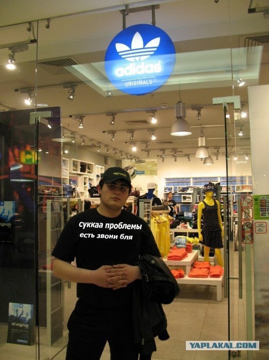 Битва мозгов.