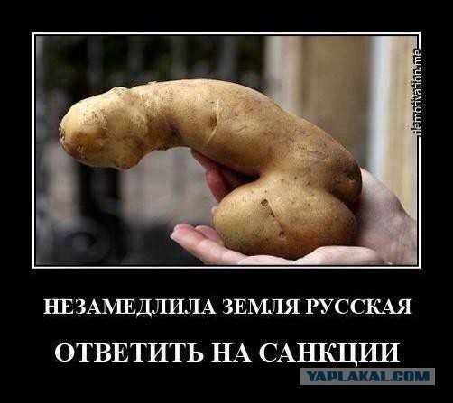 Наши санкции попали точно в цель