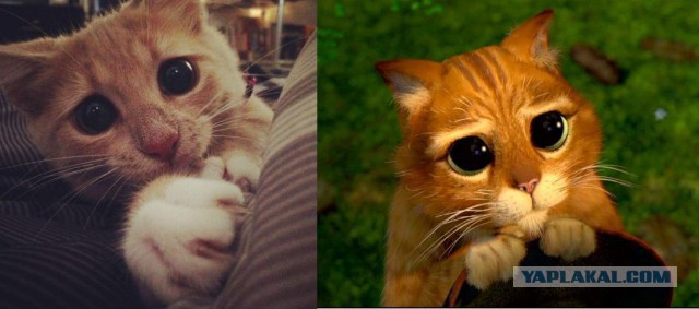 Макро и микро мир. ЯПлакалъ