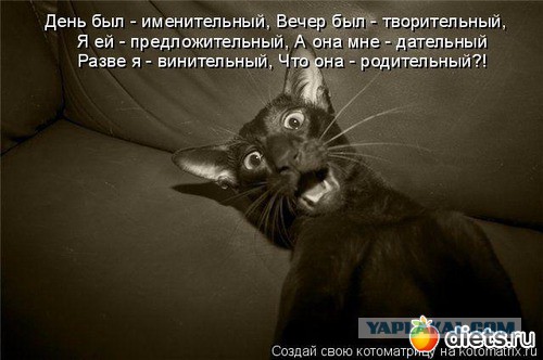 Весёлые картинки