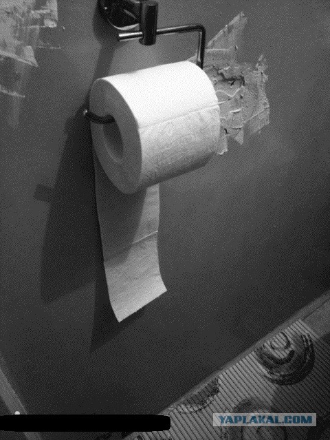 Как правильно устанавливать рулон туалетной бумаги