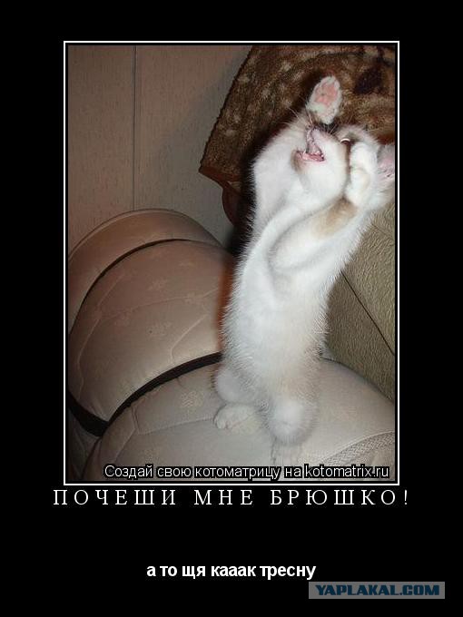 Три танкиста - "дернули" по триста...