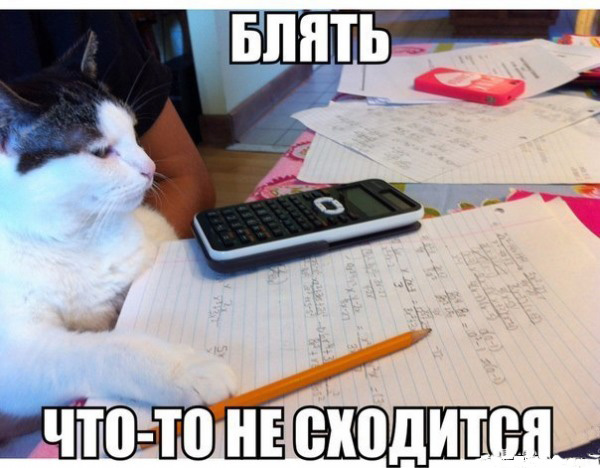Известные котомемы.