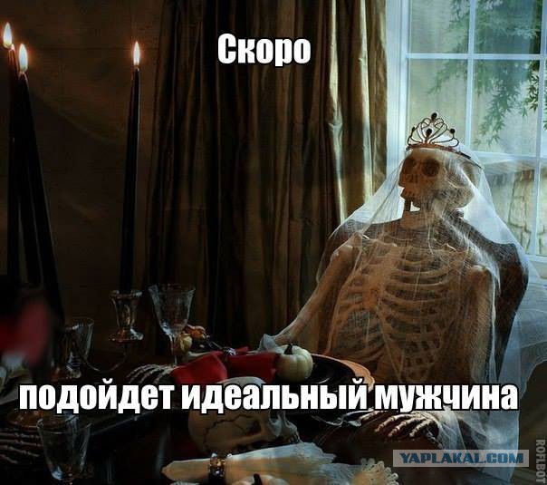 Прикольные фото и картинки