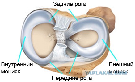 Болит колено