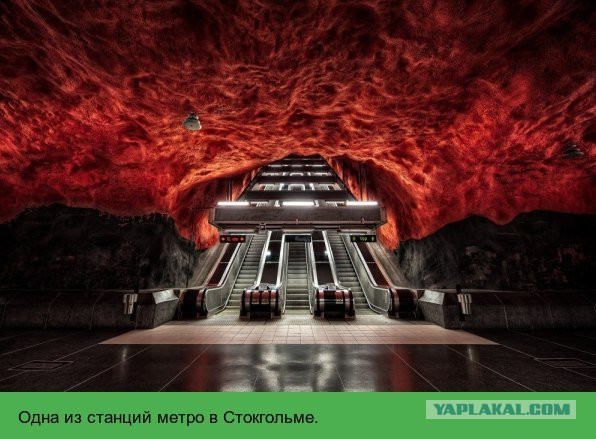 Немного картинок и демотиваторов