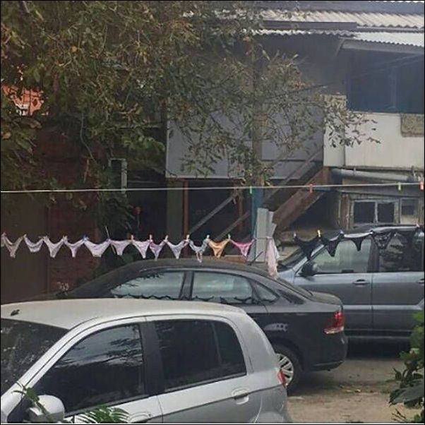 Забавные картинки из Сети