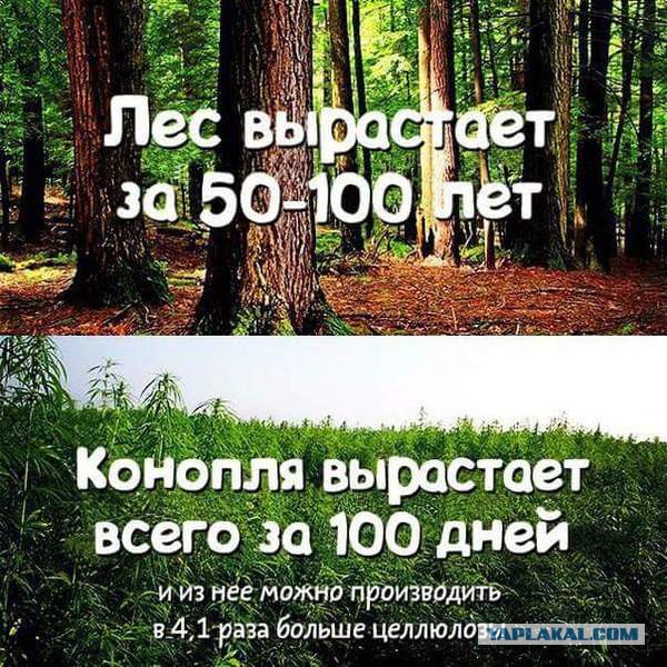 Кто то мечтает о такой работе...........