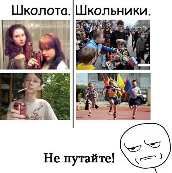 Подборка забавных картинок