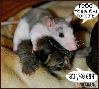 Уже да :) Ужо пятнецца...
