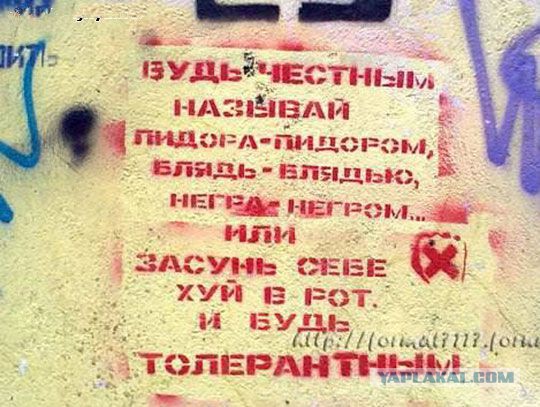 Жительница Кургана осуждена за экстремистское селфи