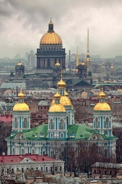Ассорти картинок из сети