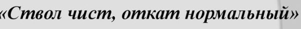 Во Владимире тротуар пометили надписью «Сделано без отката!»