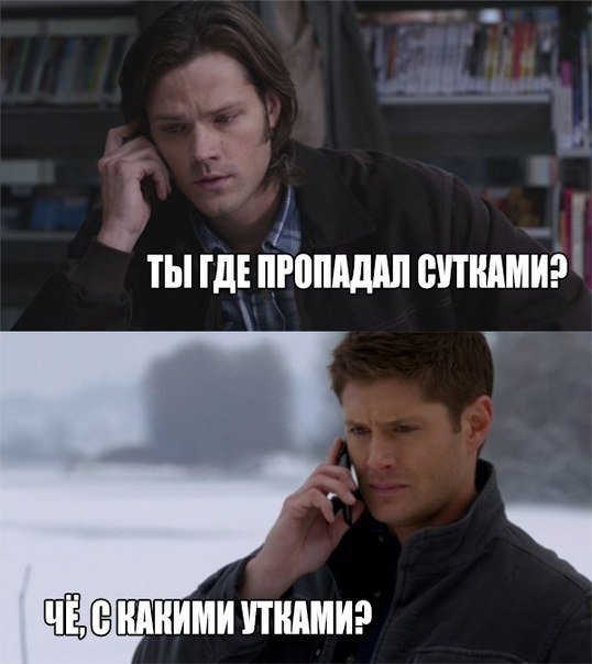 Немного странного юмора на вечер