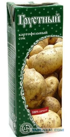 Яблочный "коала"...