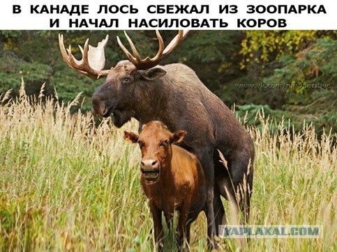 Бредзона 19.04.20