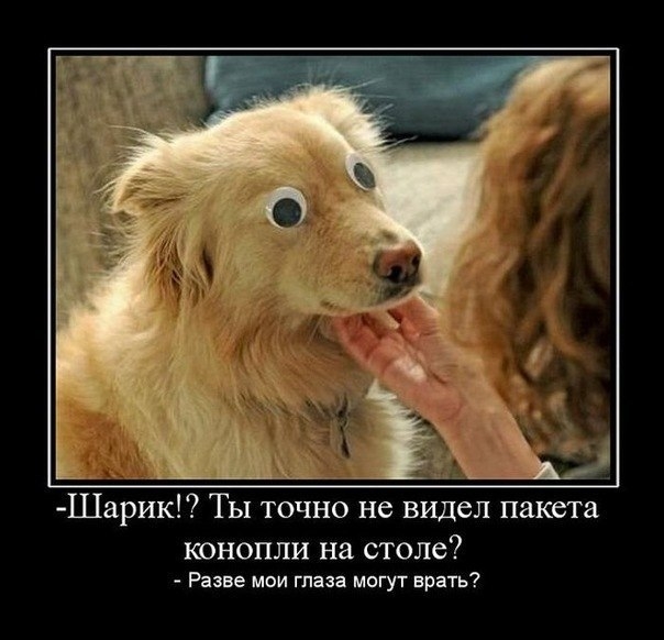 Пазитивные картинки на 18.05.2020