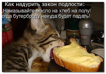 Жизненное или закон подлости в действии