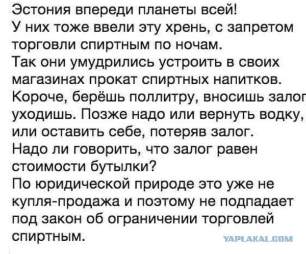 Бредзона 08.12.2020