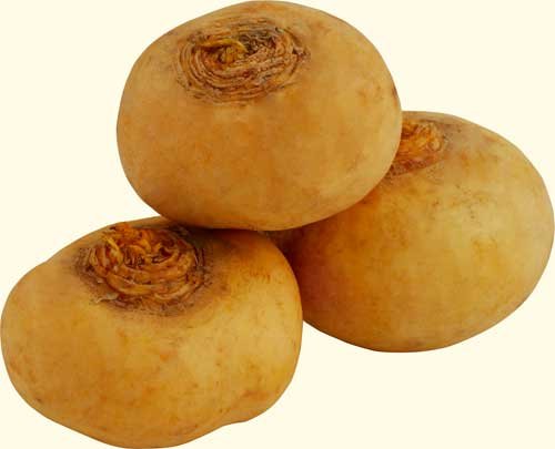 Русская кухня