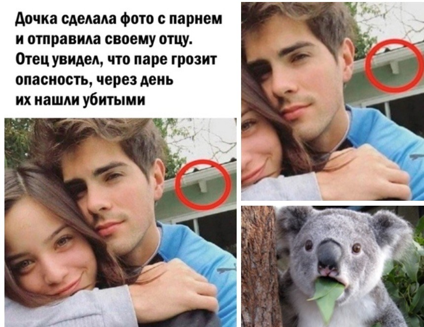 Топографический Кретинизм Что Это Такое