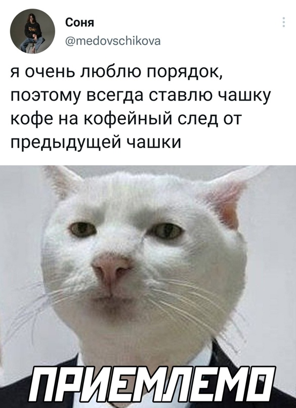 Весёлый полтишок 06.04.22