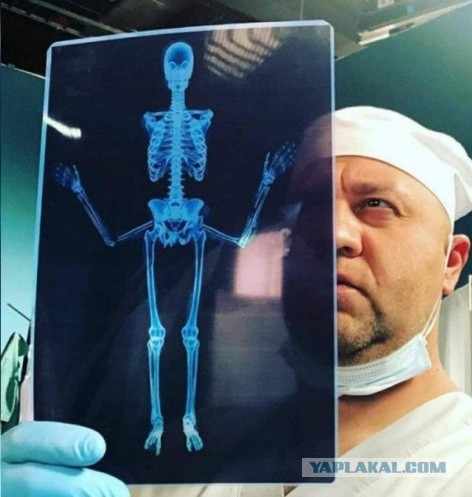 Новости науки
