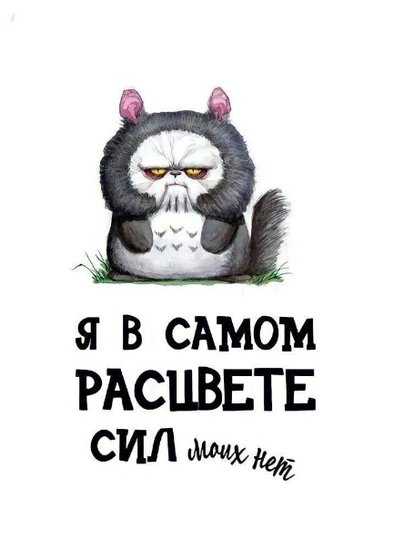 Картинки и мемы, выходные продолжаются