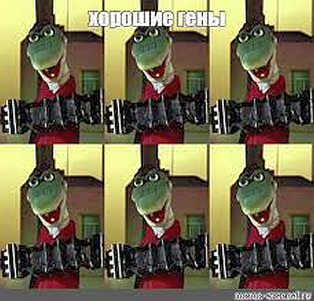 Сальма на отдыхе