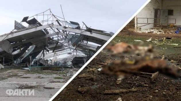 Франция и Европейский союз признали радикальную палестинскую группировку ХАМАС террористической организацией.