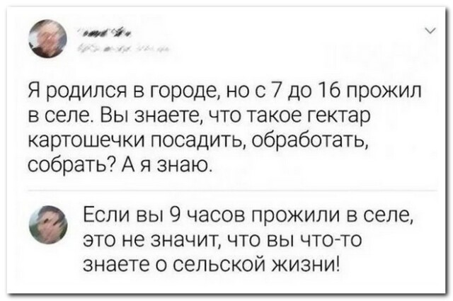 Забавные комментарии из социальных сетей 06.11.23