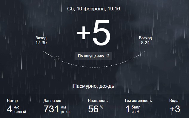 Жизнь домашнего приюта для котеек 482