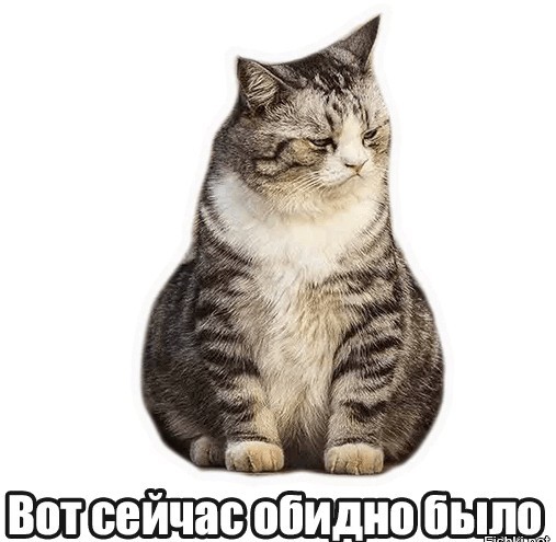 Общежития в вузах России должны быть только для малоимущих студентов
