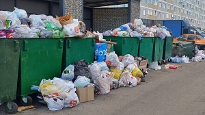 Дума подготовила запрет кормить животных возле многоквартирных домов