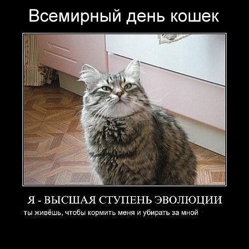 А тем, кто ложится спать, спокойного сна