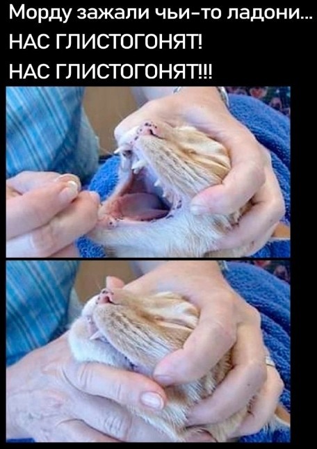 У вас паразит!