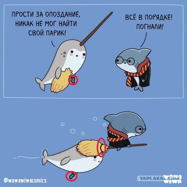 Картинки для деградации 164 (разной степени свежести)
